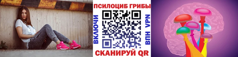 Галлюциногенные грибы Psilocybine cubensis  Новокубанск 